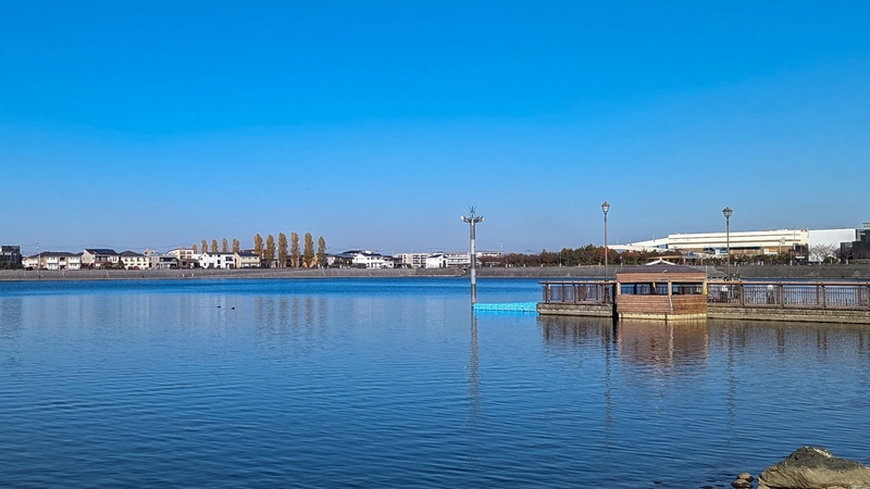 越谷レイクタウンのシンボル「大相模調節池」。池周りには公園が整備されており定期的にマルシェが開催されます。地元住民の憩いの場であるとともに、大雨の時に氾濫から守ってくれる大切な存在です。