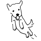 こーだいさんのアイコン