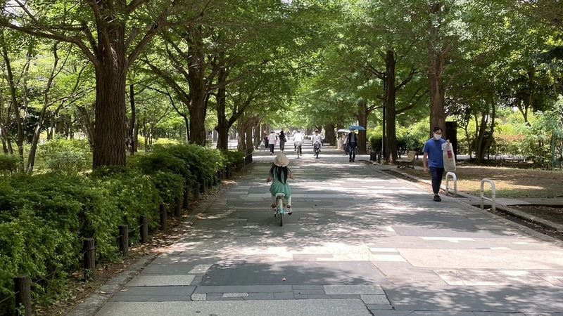 光が丘は道が広く、緑が多いです。
娘の自転車スキルが急激に伸びましたw