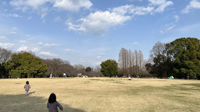 さいたま市北区の市民の森　リスがいます