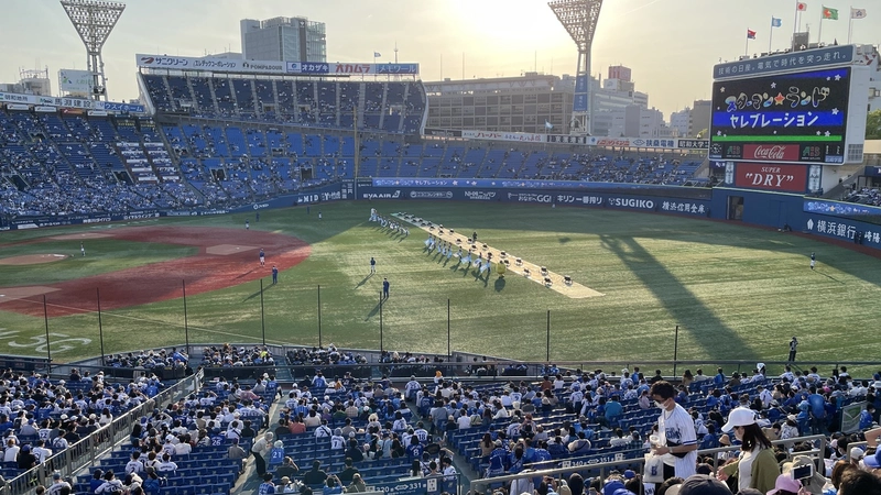 野球観戦が趣味です