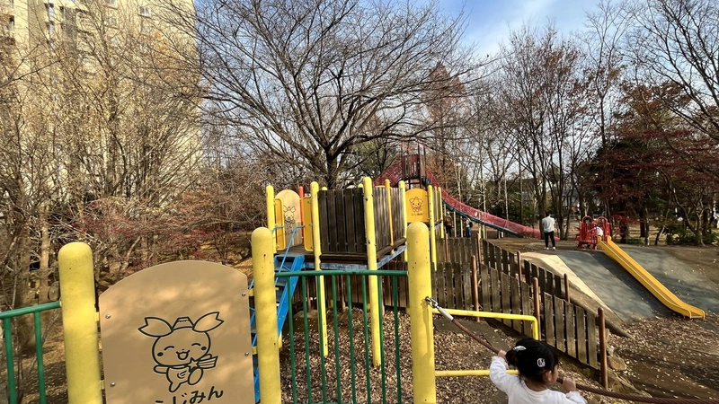 ふじみ野　西ノ原中央公園　楽しい遊具がいっぱい！