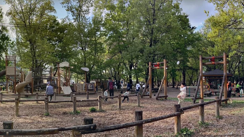 川越市伊佐沼公園のアスレチックです。駐車場も台数多く、無料で停められます。息子からは「木の公園行きたい！」とよくせがまれます。